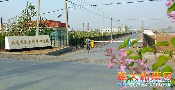 大连农科院樱桃园
