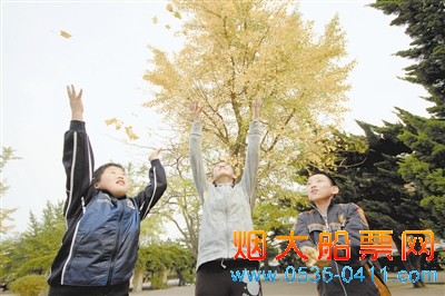 昨日下午，人民广场附近，变黄的银杏叶带给孩子们别样的快乐。王华
