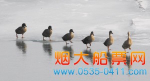 ҰѼжǰУһ벽ߡ
