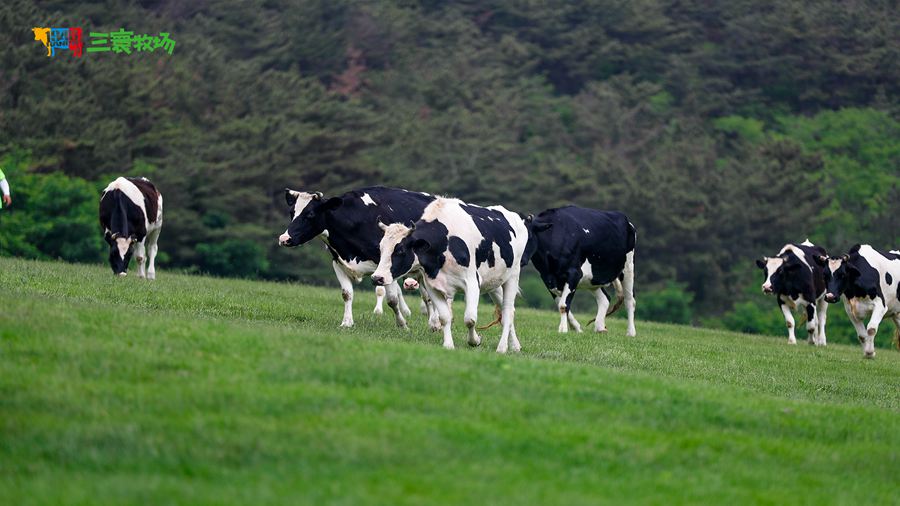 ���������������