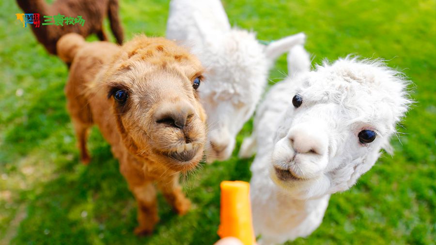 ���������������