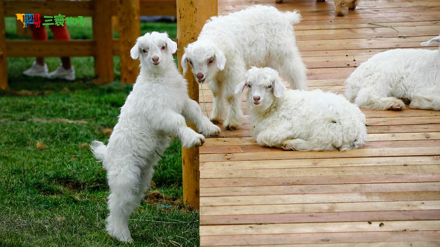 ���������������